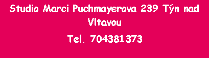 Textov pole: Studio Marci Puchmayerova 239 Tn nad Vltavou Tel. 704381373